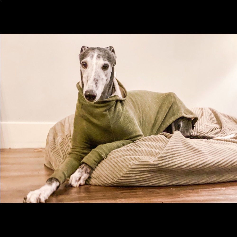 Greyhound Green Hoodie